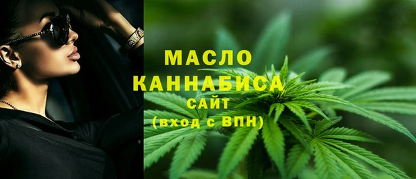 индика Богданович