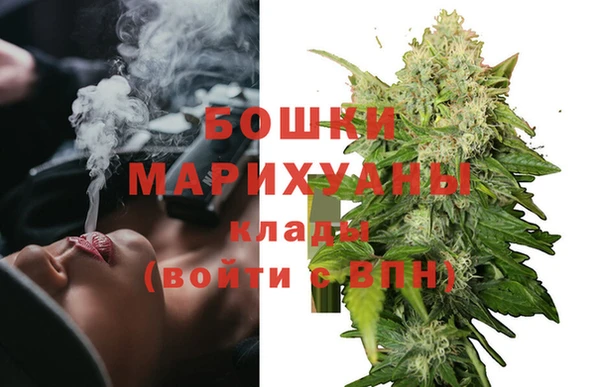 стаф Сураж
