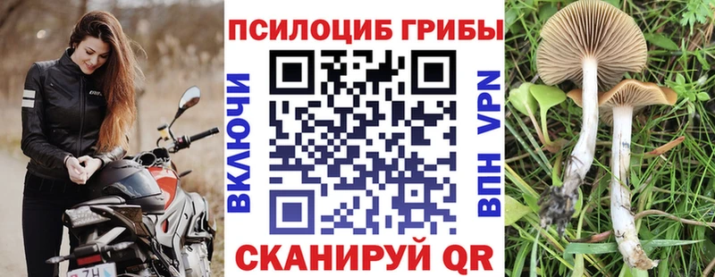 МЕГА вход  Берёзовка  нарко площадка клад  Галлюциногенные грибы мицелий 